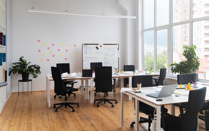 Ofis Çiçekleri Nelerdir? İsimleri Nelerdir?