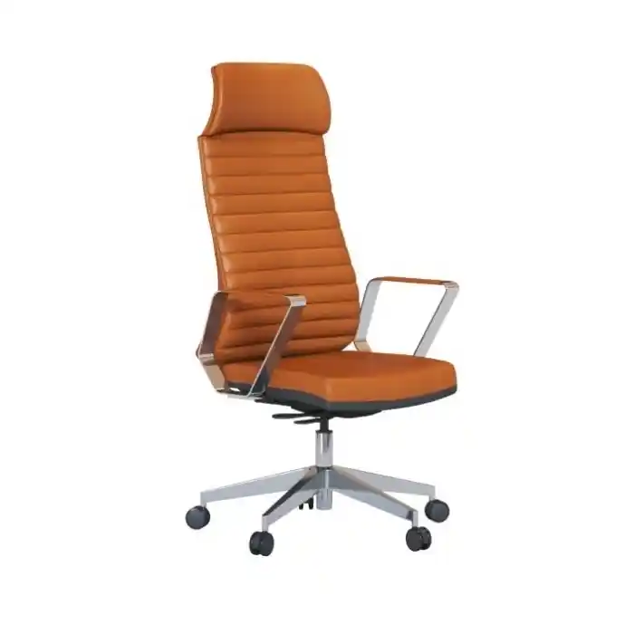 Suns Yönetici Koltuğu